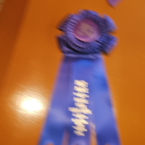 4 Vintage original 1967 1968 Horse Show Rosettes Bosque Farms Rodeo Ass'n - Picture 9 of 15